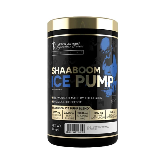 LEVRONE SHAABOOM ICE PUMP 463 g Icy orange - mango
