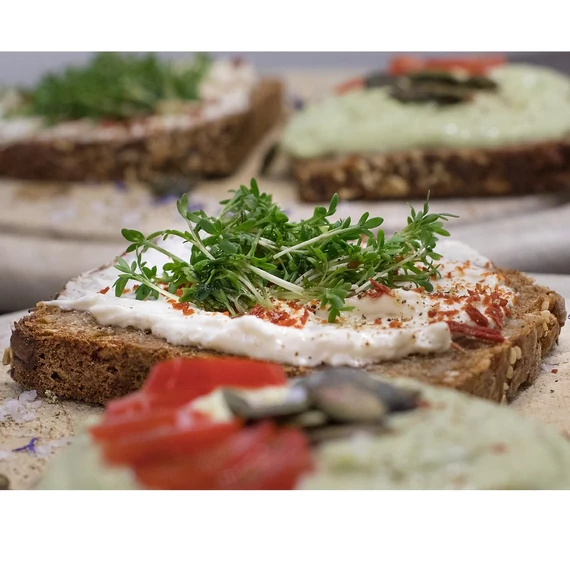 FORPRO Bread Carrot Protein  250g